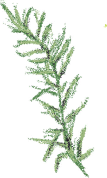 https://pub-static.fotor.com/assets/res/sticker/09bbedc8-3645-4a3a-b458-5d804e115abb_thumb.png