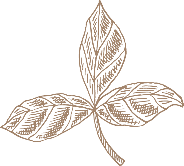 https://pub-static.fotor.com/assets/res/sticker/0d853c8d-cb2e-4beb-85e9-fff0aeaa8a9a_thumb.png