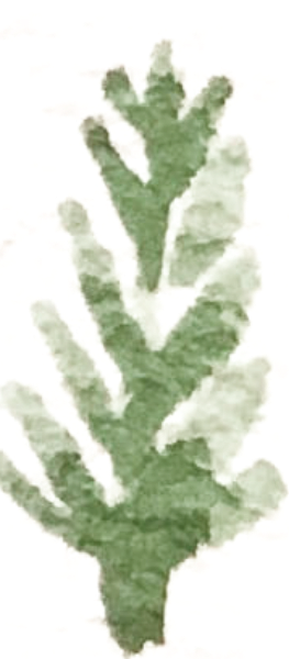 https://pub-static.fotor.com/assets/res/sticker/111968fc-8753-412e-ad2c-d95176cde2a7_thumb.png
