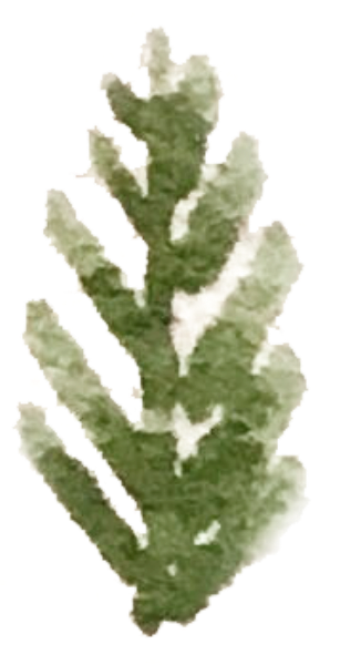 https://pub-static.fotor.com/assets/res/sticker/115cd5db-b87b-4247-b24c-a175dcc9c2d5_thumb.png