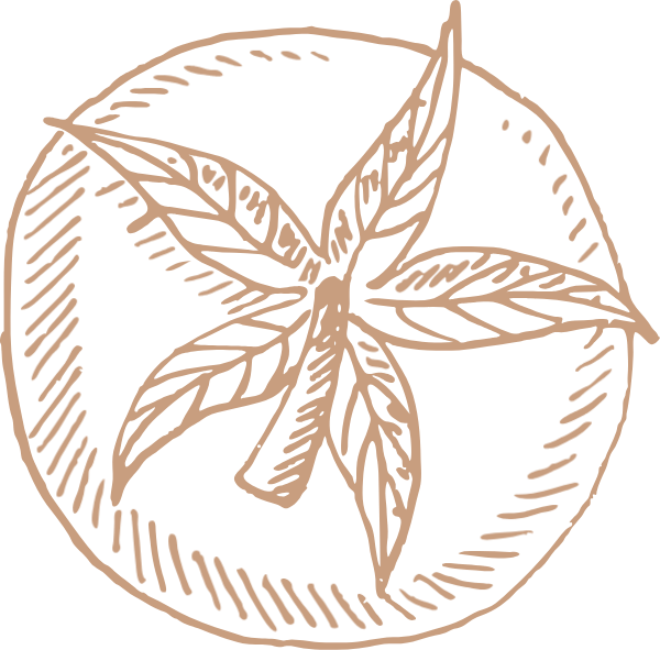https://pub-static.fotor.com/assets/res/sticker/11938a35-8455-4fb8-82a7-3b14c2f752eb_thumb.png
