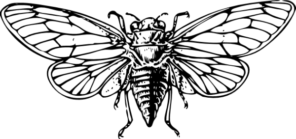 https://pub-static.fotor.com/assets/res/sticker/121301ea-5de5-4eff-b51f-d2cefec6fde8_thumb.png