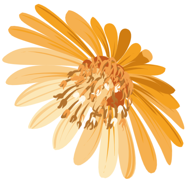 https://pub-static.fotor.com/assets/res/sticker/12d9ea43-90ae-473e-9af0-8ac262d799b7_thumb.png