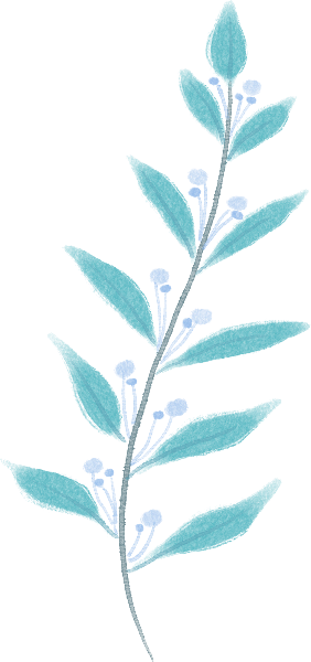 https://pub-static.fotor.com/assets/res/sticker/15bcf873-0734-4e09-abd9-74e55b4f4c81_thumb.png