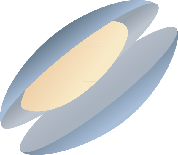 https://pub-static.fotor.com/assets/res/sticker/18db07a5-2bd1-43cc-9814-1c5b671eb7ee_thumb.png