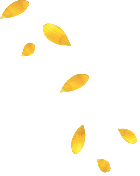 https://pub-static.fotor.com/assets/res/sticker/21babe87-9268-4349-8929-5feab8d1ac40_thumb.png