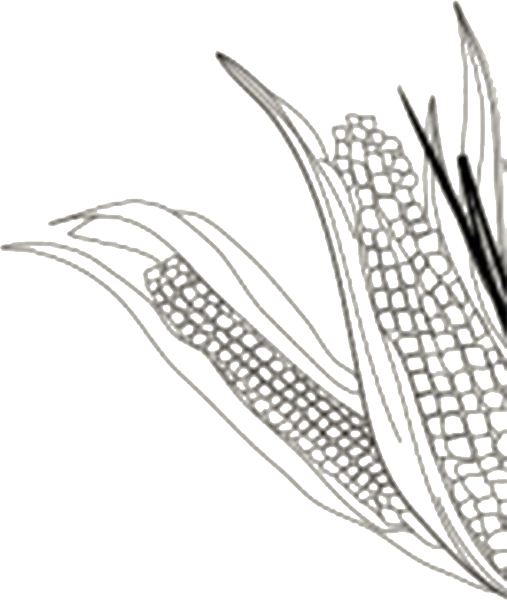 https://pub-static.fotor.com/assets/res/sticker/23fafcca-dcea-4673-8f07-830c5b7ae126_thumb.png