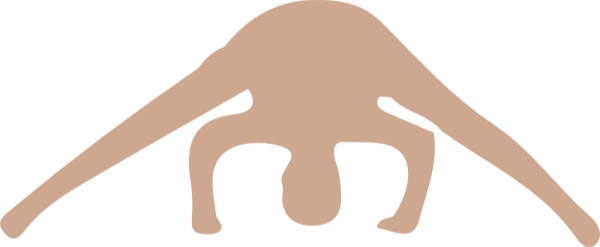 https://pub-static.fotor.com/assets/res/sticker/2bf9a319-3f45-4b2f-a9cc-ee714c5f5d81_thumb.png