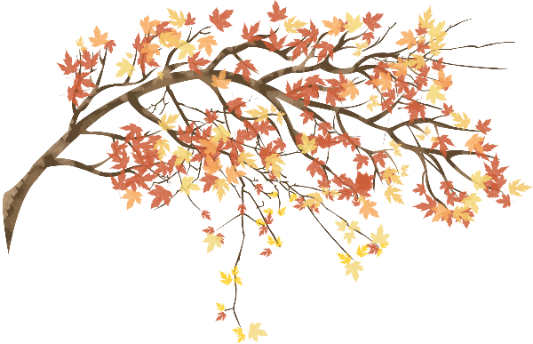 https://pub-static.fotor.com/assets/res/sticker/2bfcab1e-9d56-423f-8afc-264d905f3903_thumb.png