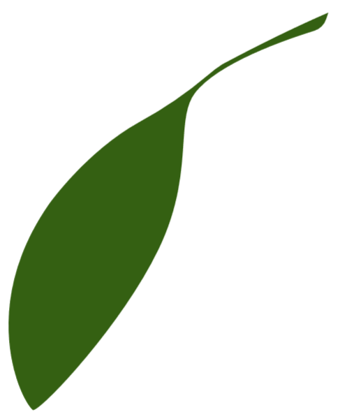 https://pub-static.fotor.com/assets/res/sticker/2f903f71-bacb-4f53-880b-beacd0f5430d_thumb.png