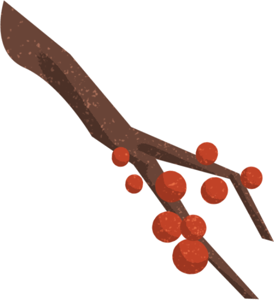 https://pub-static.fotor.com/assets/res/sticker/39cece62-f2c0-4915-b21f-1383fe994a2e_thumb.png
