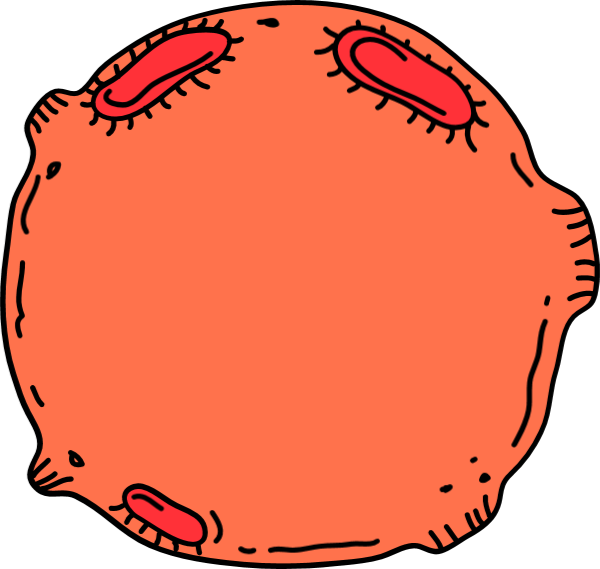 https://pub-static.fotor.com/assets/res/sticker/41c574da-6c6b-4f1b-b8b9-55c48123131b_thumb.png