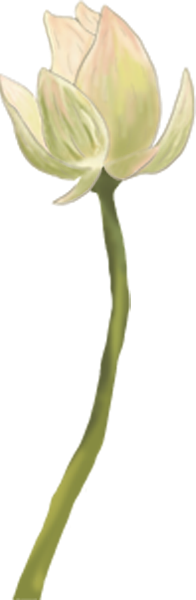 https://pub-static.fotor.com/assets/res/sticker/432dc38f-4c12-4672-8227-e78c20d46f3f_thumb.png