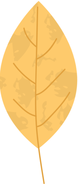 https://pub-static.fotor.com/assets/res/sticker/43c07add-f528-4074-85c4-c3a39f46a6aa_thumb.png