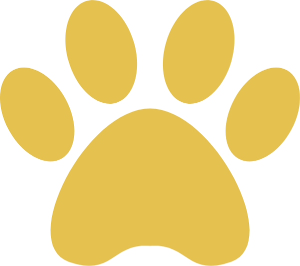 https://pub-static.fotor.com/assets/res/sticker/46e4155b-4ed7-4a2d-b6e6-c863996a059b_thumb.png