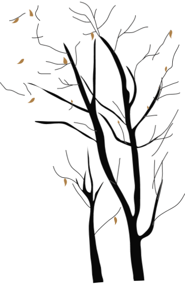 https://pub-static.fotor.com/assets/res/sticker/478fb558-f33d-4bd6-8e42-e2bc665f86bd_thumb.png