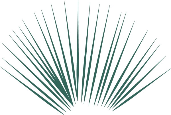 https://pub-static.fotor.com/assets/res/sticker/47df9a95-c5d6-440b-bdcc-2b171c3f9e45_thumb.png