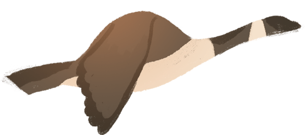 https://pub-static.fotor.com/assets/res/sticker/48072a3d-4836-4978-8187-a8fbc1c9c624_thumb.png