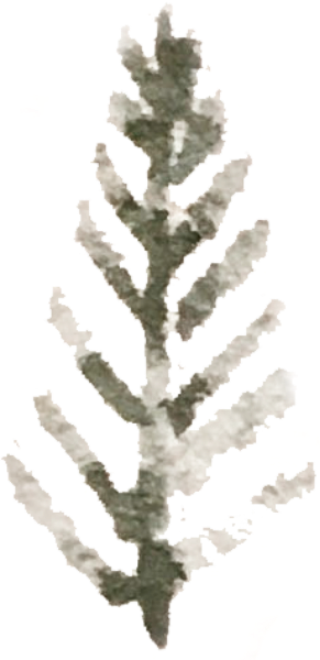 https://pub-static.fotor.com/assets/res/sticker/4b5689ab-ecf8-4231-a026-242088d2e35a_thumb.png