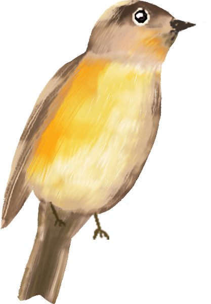 https://pub-static.fotor.com/assets/res/sticker/4d62a771-33a2-4915-8062-c795fc249240_thumb.png