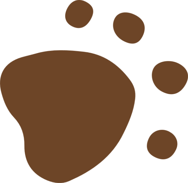 https://pub-static.fotor.com/assets/res/sticker/4ea5f358-0f91-439f-8b52-fba345491d40_thumb.png