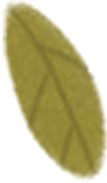 https://pub-static.fotor.com/assets/res/sticker/5158d4f5-19e8-4c57-b45d-b111c78e4365_thumb.png