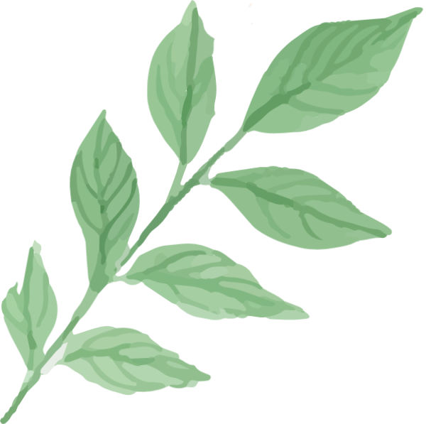 https://pub-static.fotor.com/assets/res/sticker/5899a178-7e54-41b2-b061-b95ea382b865_thumb.png