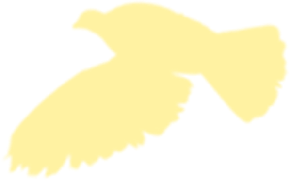 https://pub-static.fotor.com/assets/res/sticker/598d2db6-9739-471f-a692-0e584c51aa91_thumb.png