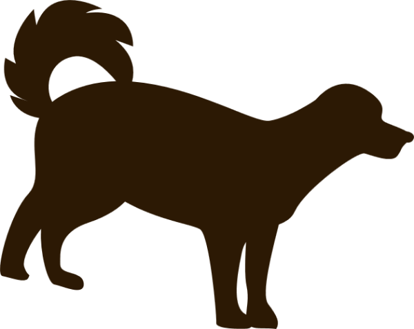 https://pub-static.fotor.com/assets/res/sticker/5c78de80-efd2-4eb0-9a5a-27aa09dd13ca_thumb.png