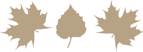 https://pub-static.fotor.com/assets/res/sticker/5f296e6b-fdd1-4e21-baee-47198838841b_thumb.png
