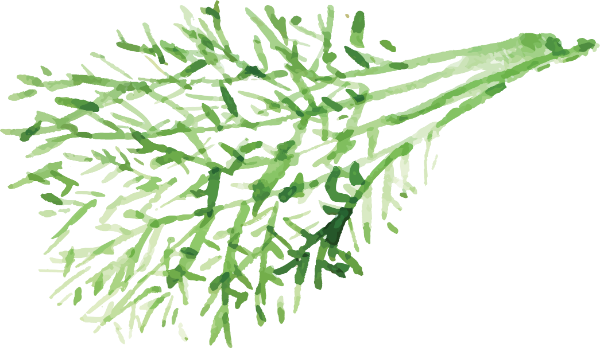 https://pub-static.fotor.com/assets/res/sticker/63062188-b192-4274-a2fe-2f8649b7cf7d_thumb.png