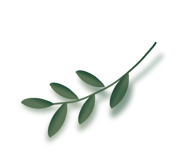 https://pub-static.fotor.com/assets/res/sticker/6675f027-2209-43f8-9335-e1476e3ac372_thumb.png