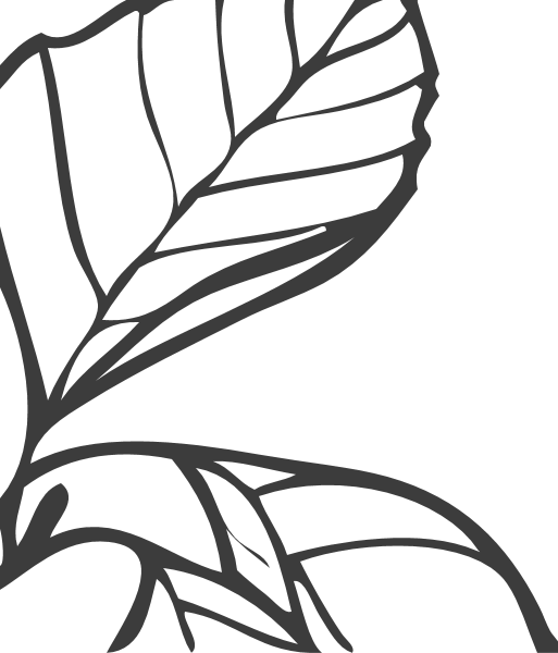 https://pub-static.fotor.com/assets/res/sticker/67a8b8b7-b426-4059-811e-7f6a674bf70a_thumb.png