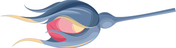 https://pub-static.fotor.com/assets/res/sticker/68d75799-36ed-4d6f-8711-c38838fe8406_thumb.png