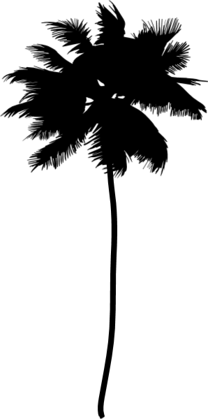 https://pub-static.fotor.com/assets/res/sticker/6b437b14-f349-496b-8dbe-8b9a9e707998_thumb.png