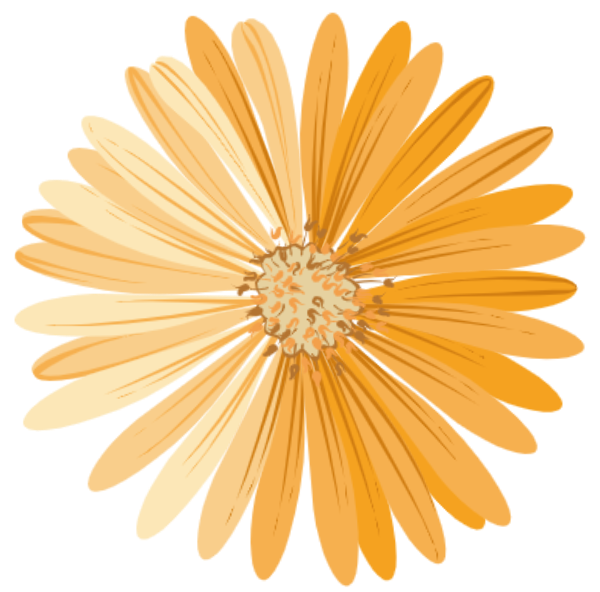 https://pub-static.fotor.com/assets/res/sticker/6ee5dbd0-08c7-4bea-8d30-c238e23db6f1_thumb.png
