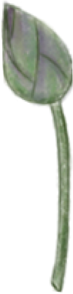 https://pub-static.fotor.com/assets/res/sticker/6f23de02-f761-4a91-93da-c3893438dfc0_thumb.png