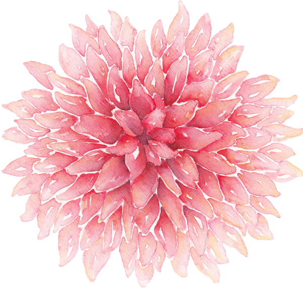 https://pub-static.fotor.com/assets/res/sticker/6f961015-4460-4d7f-87a4-c11ffb540cf6_thumb.png