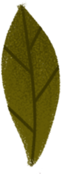 https://pub-static.fotor.com/assets/res/sticker/7007cec4-5188-4de9-8f64-5df8733175fb_thumb.png
