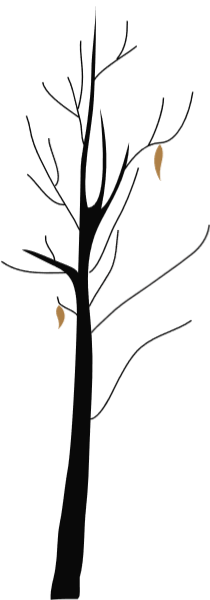 https://pub-static.fotor.com/assets/res/sticker/70b3f3f9-57ae-4c6a-b998-2dbe5c539103_thumb.png