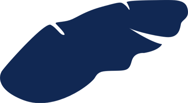 https://pub-static.fotor.com/assets/res/sticker/74450e71-2da7-4571-8c75-bca6db55ba32_thumb.png