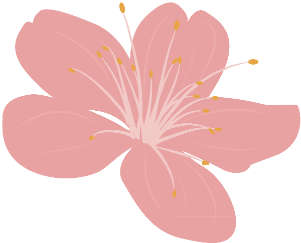 https://pub-static.fotor.com/assets/res/sticker/787a4029-8d3d-483f-bd25-0ac68f38cfa8_thumb.png
