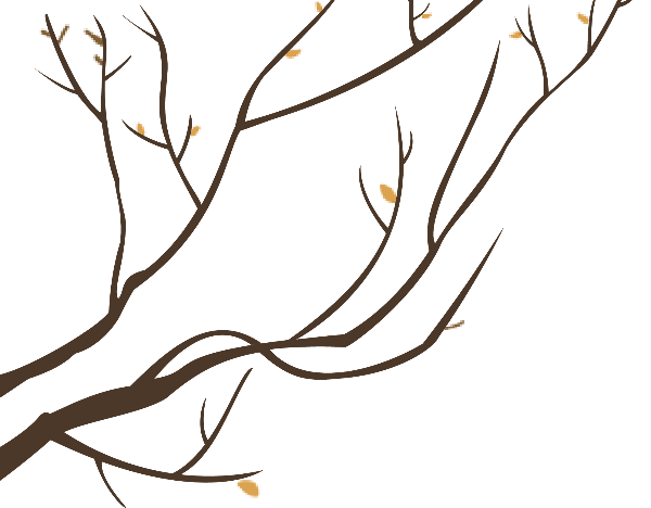 https://pub-static.fotor.com/assets/res/sticker/7c575599-a53d-4693-930b-35ceaeda021a_thumb.png