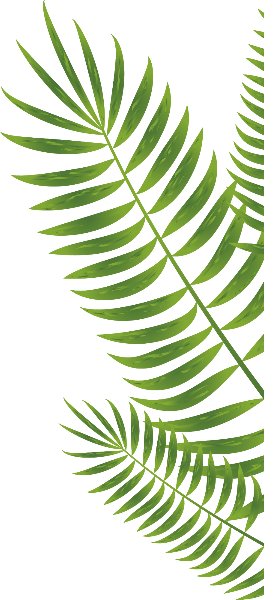 https://pub-static.fotor.com/assets/res/sticker/7f9f0be3-f05c-4378-b2ab-bf1d95675931_thumb.png