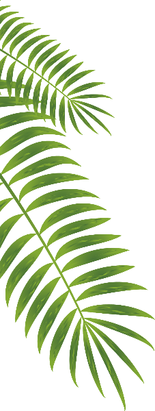 https://pub-static.fotor.com/assets/res/sticker/7ff58e3e-36b9-475a-9d24-c331bfa92f15_thumb.png