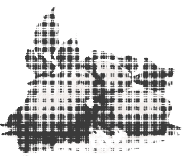 https://pub-static.fotor.com/assets/stickers/0454588d-1c38-4b1f-bc28-0ea049a92799_thumb.png