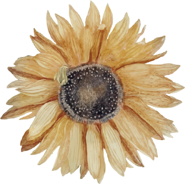 https://pub-static.fotor.com/assets/stickers/670c2ad4-e14a-4e42-a764-01598c36b1da_thumb.png