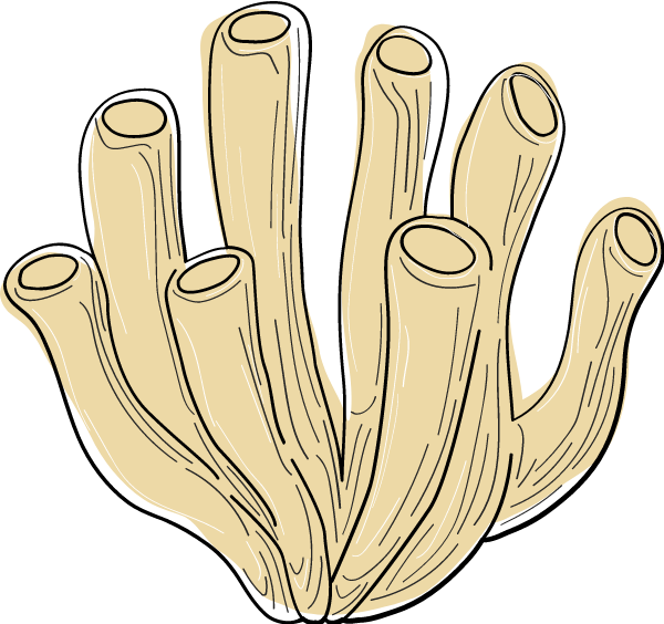 https://pub-static.fotor.com/assets/stickers/966d4fe5-1c63-449a-a288-85bf772323cc_thumb.png