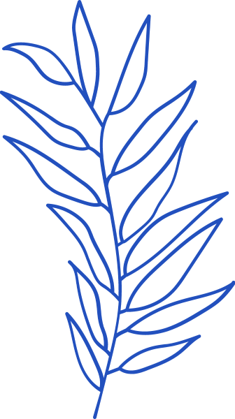 https://pub-static.fotor.com/assets/stickers/018b0e16-833a-4771-9a52-3d1107909032_thumb.png