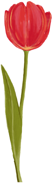 https://pub-static.fotor.com/assets/stickers/ffaab441-f835-4951-ade5-a0b8c21a0598_thumb.png
